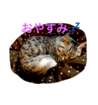 ニアとアン（個別スタンプ：3）