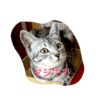 ニアとアン（個別スタンプ：5）