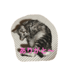 ニアとアン（個別スタンプ：6）