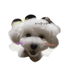 といぷーどる(白)（個別スタンプ：3）