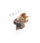 エルとロコ（個別スタンプ：2）