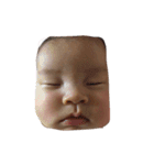 可愛い姪っ子(≧∀≦)（個別スタンプ：15）
