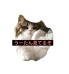 ラガマフィンの悠ちゃん（個別スタンプ：2）