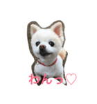himepome（個別スタンプ：1）