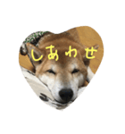 大好き豆次郎（個別スタンプ：7）