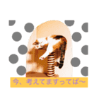 シナモン（個別スタンプ：4）