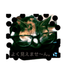シナモン（個別スタンプ：6）