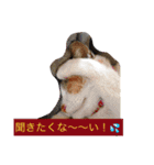 シナモン（個別スタンプ：8）