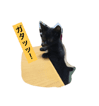 鍵しっぽのクロネちゃん（個別スタンプ：6）