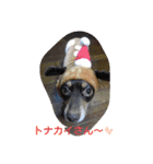 marosano2（個別スタンプ：5）