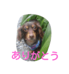 marosano2（個別スタンプ：11）