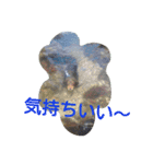 marosano2（個別スタンプ：12）