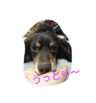 marosano2（個別スタンプ：15）