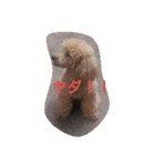 チビいぬ・デカいぬ（個別スタンプ：7）