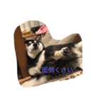 naru0123（個別スタンプ：7）