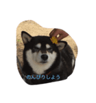 naru0123（個別スタンプ：8）