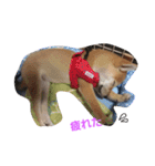 柴犬パピーさくら（個別スタンプ：10）