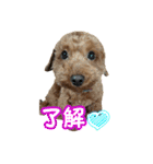 マルプータルトのスタンプ（個別スタンプ：7）