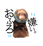 くに子の気持ち（個別スタンプ：2）