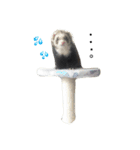 くに子の気持ち（個別スタンプ：12）