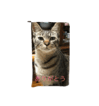 トラ君と仲間たち（個別スタンプ：3）