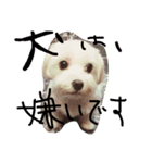 lily martese（個別スタンプ：5）