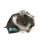 イッキュウ（個別スタンプ：1）