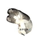 イッキュウ（個別スタンプ：4）