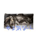 ぶろあにねこにゃんず（個別スタンプ：6）