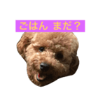 モコの会話（個別スタンプ：1）