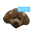 モコの会話（個別スタンプ：4）