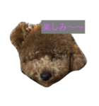 モコの会話（個別スタンプ：5）