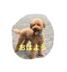 モコの会話（個別スタンプ：6）