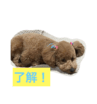 モコの会話（個別スタンプ：8）