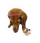 Happy''Life（個別スタンプ：2）