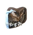 ふく です。（個別スタンプ：11）