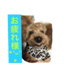 わんこ、n（個別スタンプ：5）