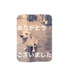 ちゅんてぃ（個別スタンプ：4）
