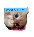 ちび太郎の一日（個別スタンプ：8）