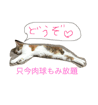 フリーダム！（個別スタンプ：3）