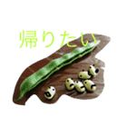 フリーダム！（個別スタンプ：5）