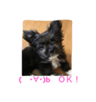 ORE！ORE！（個別スタンプ：2）