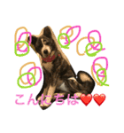 秋田犬うた-2（個別スタンプ：6）
