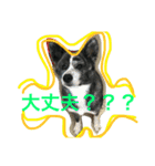 秋田犬うた-2（個別スタンプ：17）