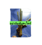 Agricultural house（個別スタンプ：7）