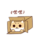 Shine the Shiba Inu（個別スタンプ：1）