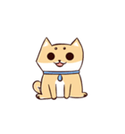 Shine the Shiba Inu（個別スタンプ：4）