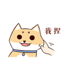 Shine the Shiba Inu（個別スタンプ：6）