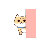 Shine the Shiba Inu（個別スタンプ：8）