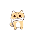 Shine the Shiba Inu（個別スタンプ：9）